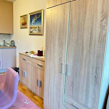Lejlighed Studio Apartman Masa Bjelašnica